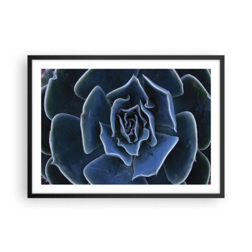 Plakát v černém rámu - Pouštní květ - 70x50 cm