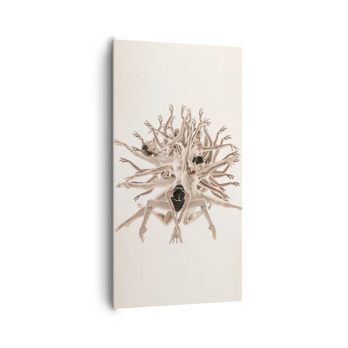 Obraz na plátně - Rozkvět v tanci - 65x120 cm