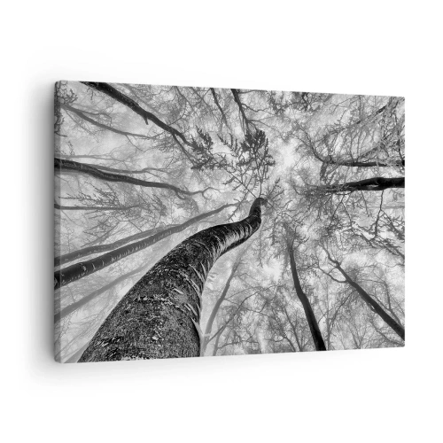 Obraz na plátně - Perspektiva stromů v lese při pohledu zespodu v odstínech šedé - 70x50cm - Závod ke světlu - Moderní nástěnná dekorace do obývacího pokoje a ložnice ARTTOR