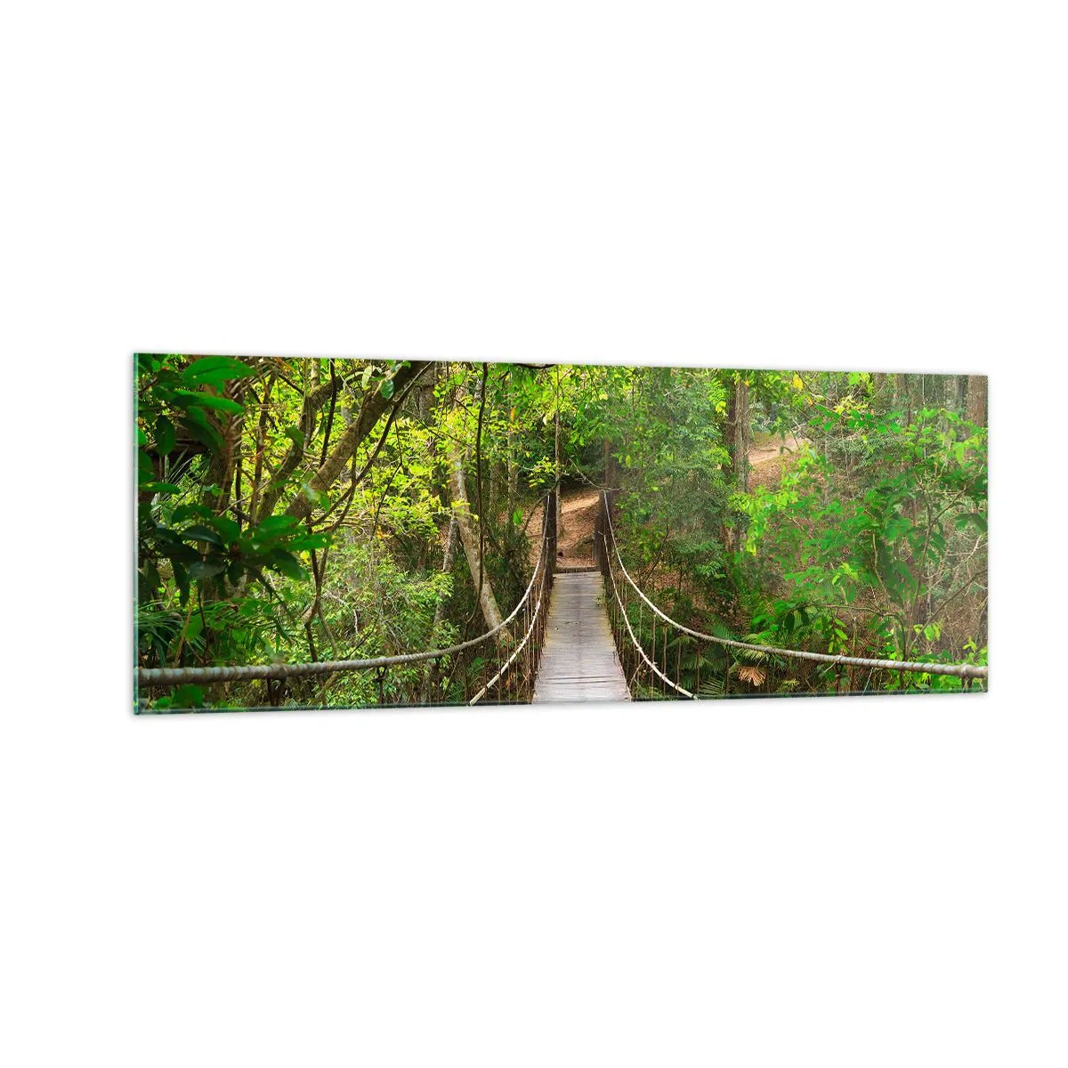 Obraz na skle - Protože na zahradě rostou popínavé rostliny - 140x50 cm