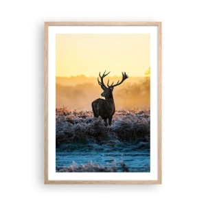 Plakát v rámu světlý dub - Korunován na svém panství - 50x70 cm