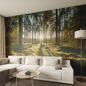 Fototapeta Samolepicí Deluxe Sticker - …Za sedmero lesy - Krajina, Les, Příroda - 100x70 cm