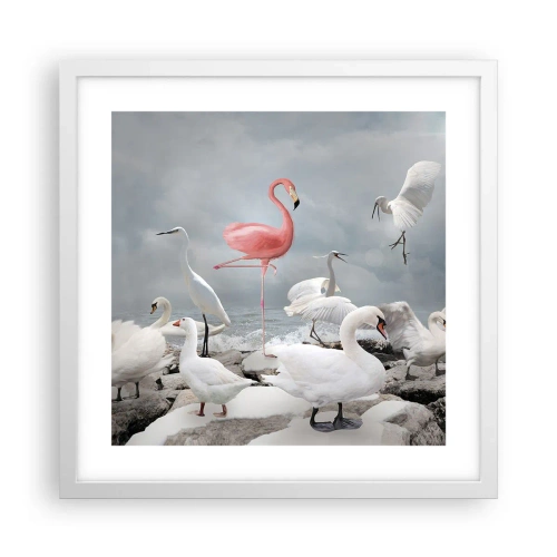 Plakát v bílém rámu - Kde jsem se tu vzal? - 40x40 cm