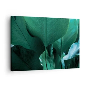 Obraz na plátně - Zelené listy v minimalistické kompozici - 70x50cm - Obrácené ke světlu - Moderní nástěnná dekorace do obývacího pokoje a ložnice ARTTOR