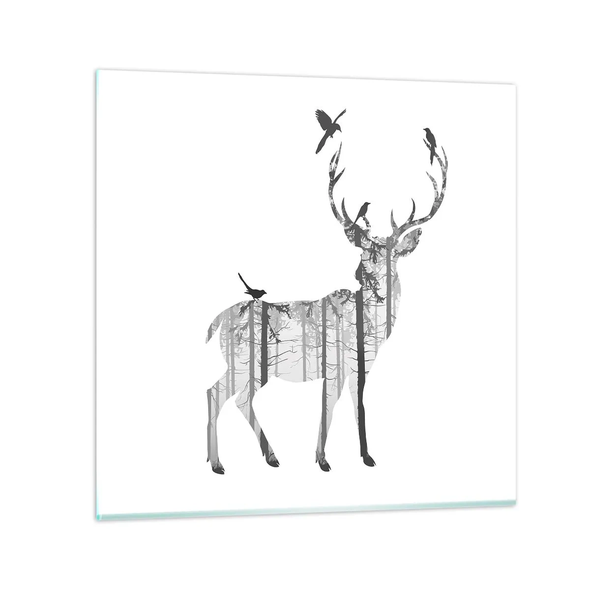 Obraz na skle - Dobrý duch lesa - 50x50 cm
