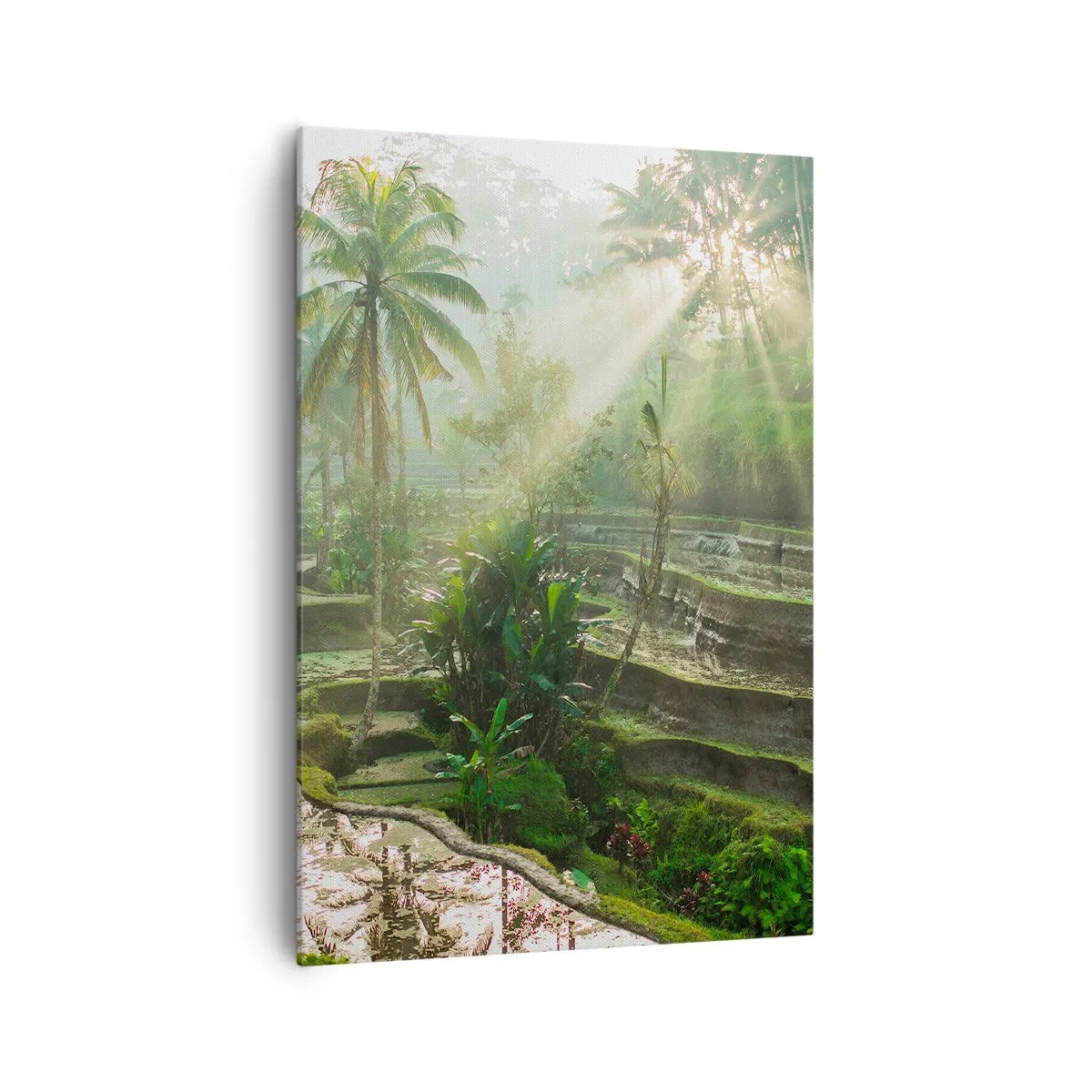 Obraz na plátně - Vyrůstát na slunci - 70x100 cm