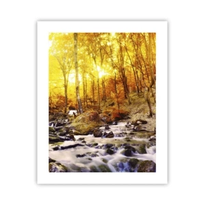 Plakát - Kameny zasazené do zlata a platiny - 40x50 cm