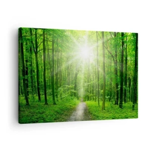 Obraz na plátně - Cesta v lese se slunečními paprsky - 70x50cm - Zelená katedrála - Moderní nástěnná dekorace do obývacího pokoje a ložnice ARTTOR