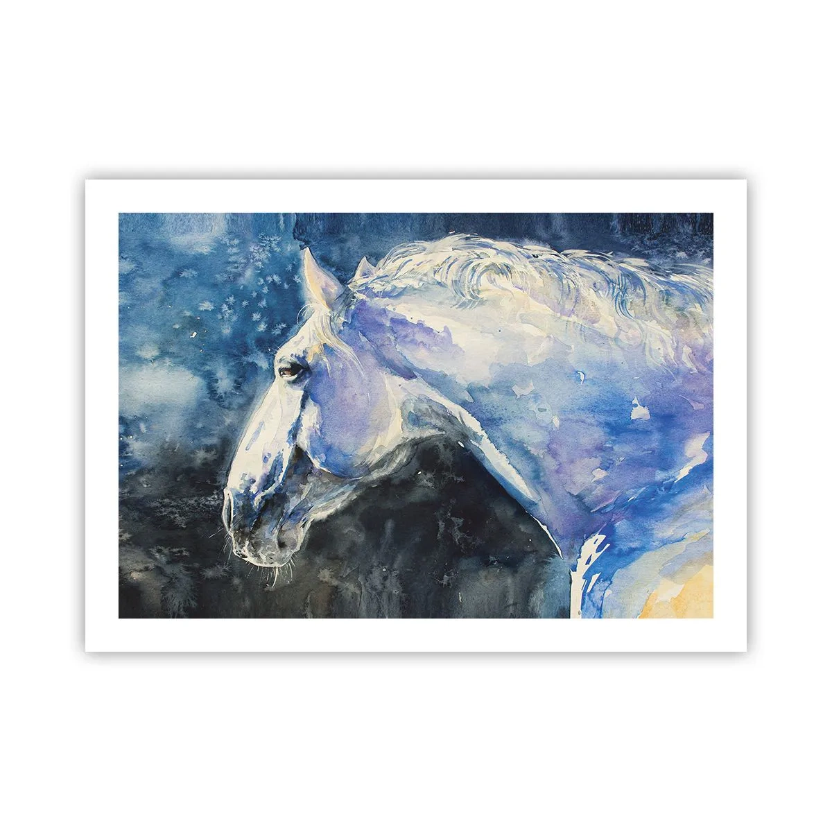 Plakát - Portrét v modré záři - 70x50 cm
