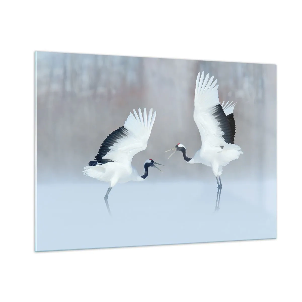 Obraz na skle - Tanec v mlze - 100x70 cm