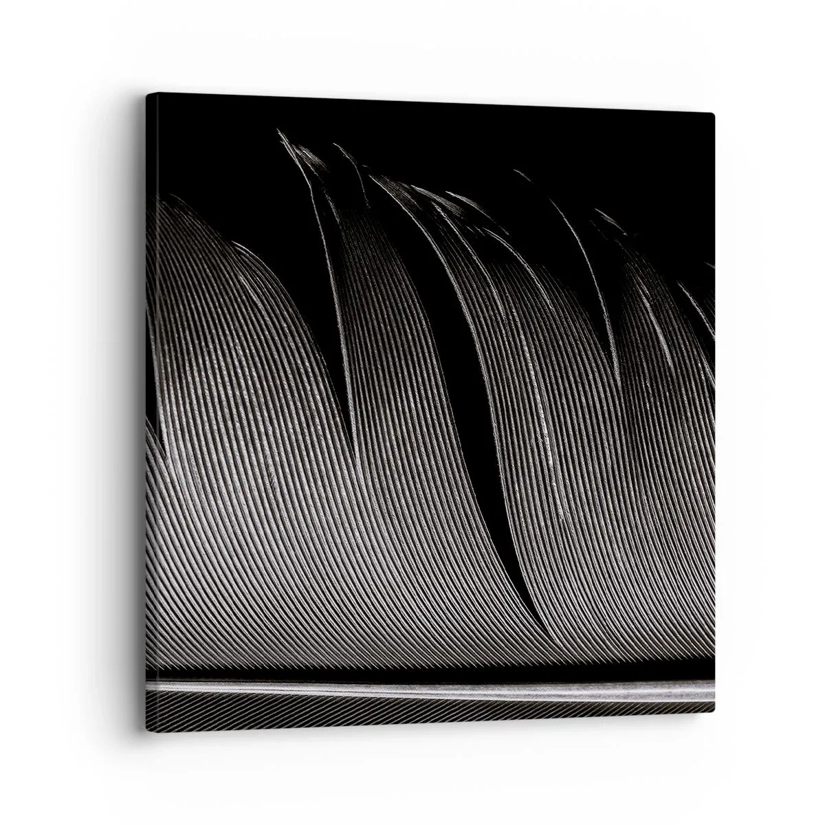 Obraz na plátně - Peří – nádherná konstrukce - 30x30 cm