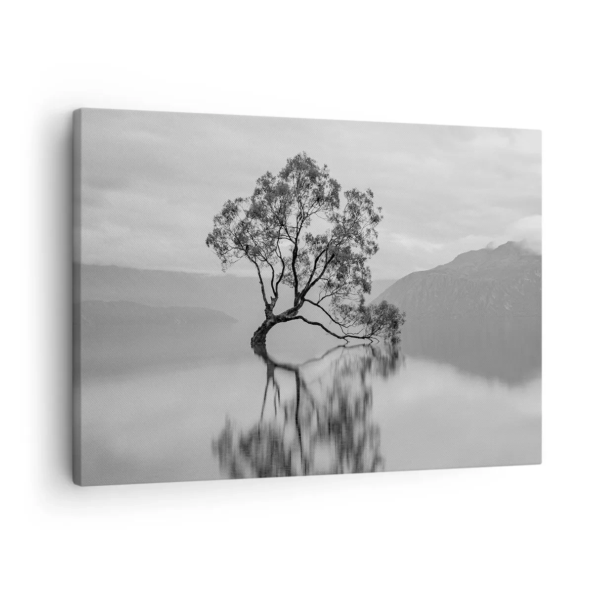 Obraz na plátně - Osamělý strom odrážející se ve vodě s horami v pozadí - 70x50cm - Existuje taková země - Moderní nástěnná dekorace do obývacího pokoje a ložnice ARTTOR
