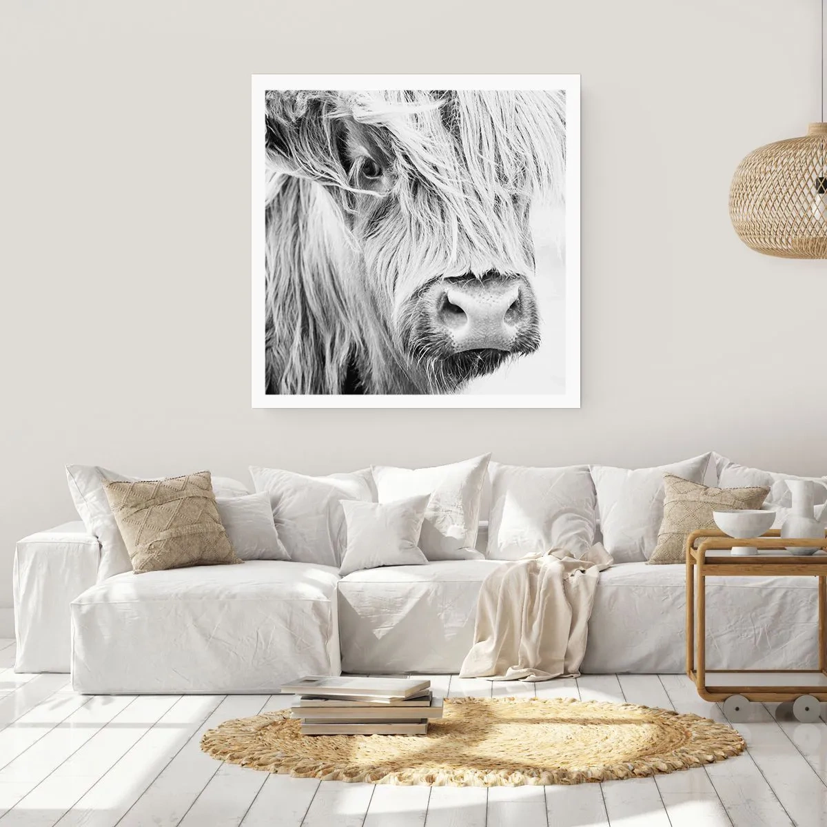 Plakát - Skotská divokost - 40x40 cm