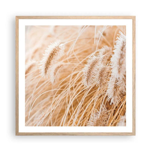 Plakát v rámu světlý dub - Zlaté šustění travin - 60x60 cm