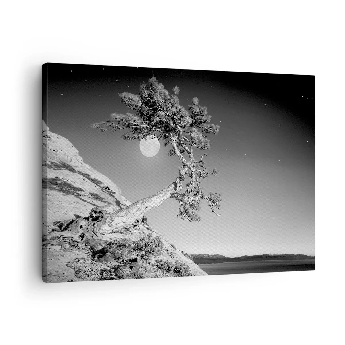 Obraz na plátně - Černobílý strom na útesu s měsícem v pozadí - 70x50cm - Vítězná válečnice - Moderní nástěnná dekorace do obývacího pokoje a ložnice ARTTOR