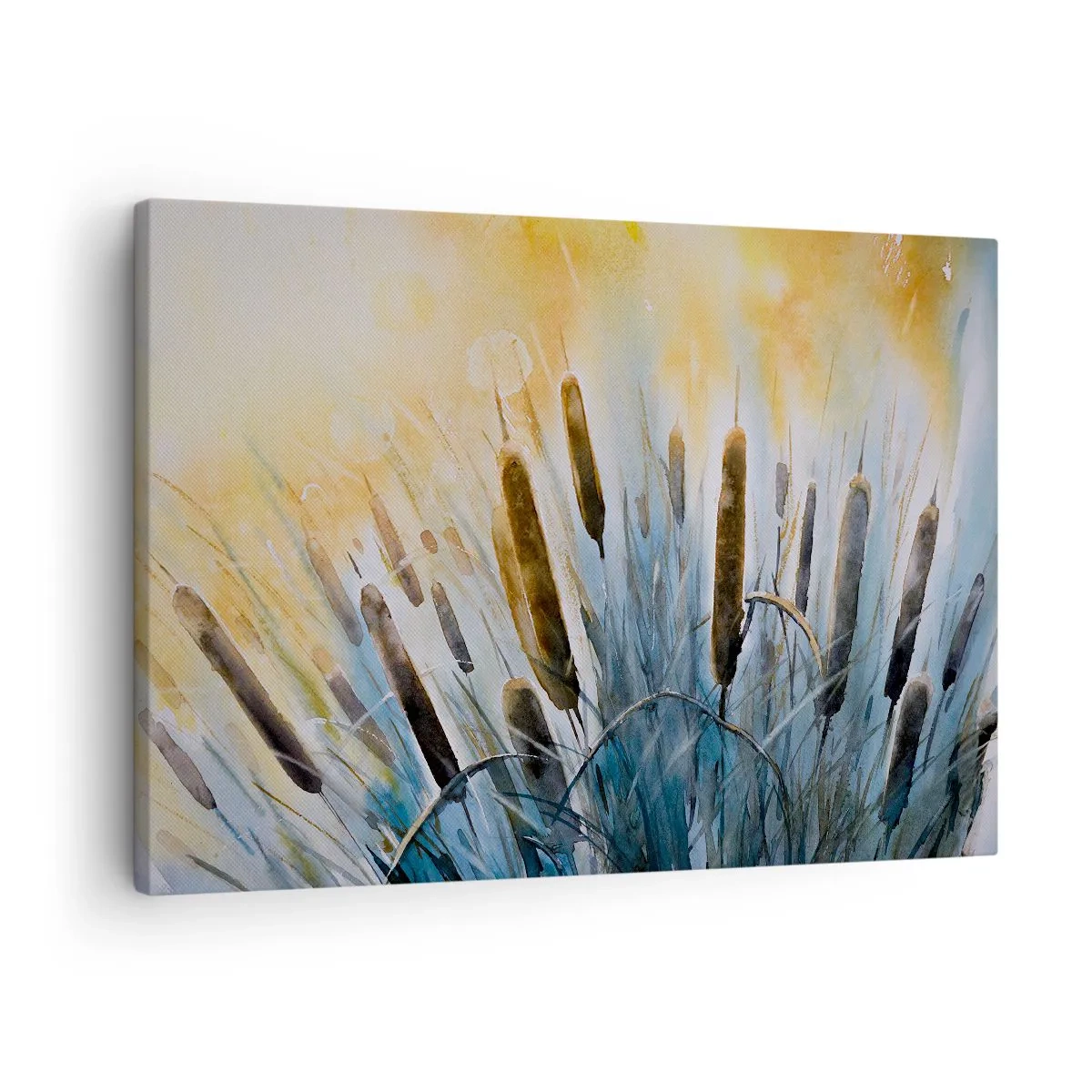 Obraz na plátně - Malebné rákosí v paprscích slunce - 70x50cm - Chlad vody, žár slunce - Moderní nástěnná dekorace do obývacího pokoje a ložnice ARTTOR