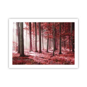 Plakát - Červená je stejně krásná - 70x50 cm
