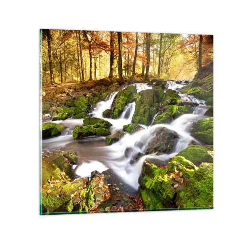 Obraz na skle - Chvatem podzimním lesem - 70x70 cm