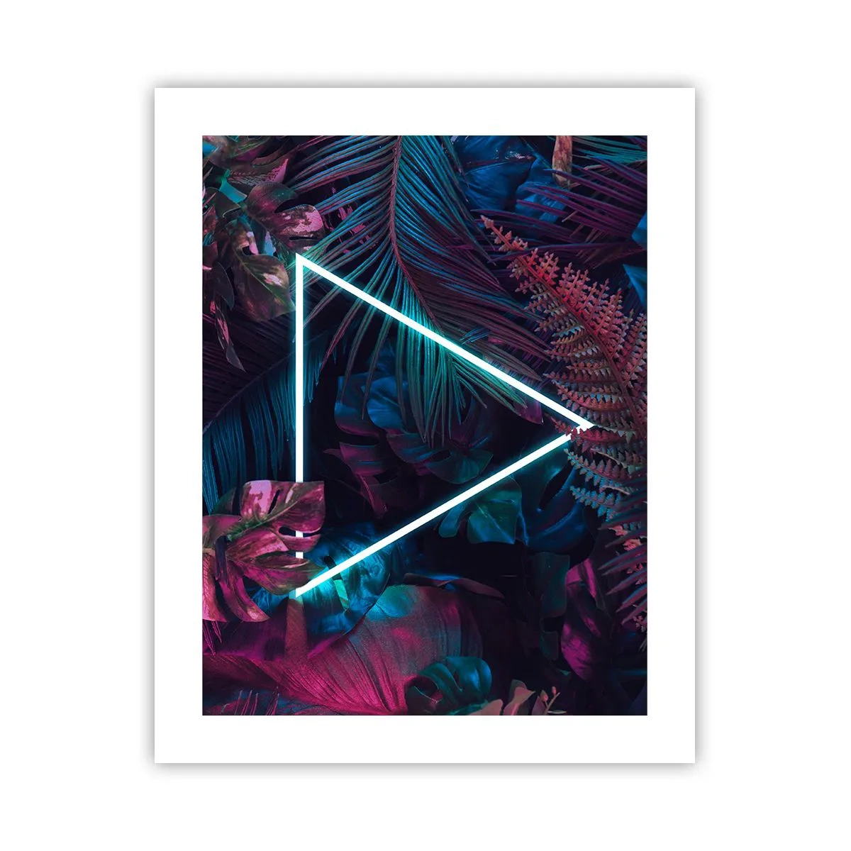 Plakát - Zahrada v disco stylu - 40x50 cm
