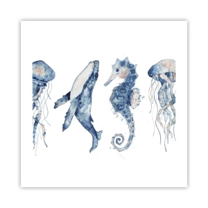 Plakát - Mořská divočina - 50x50 cm