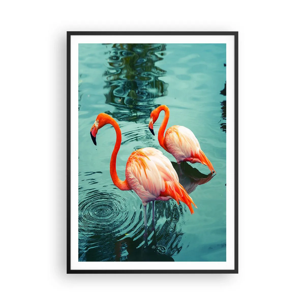 Plakát v černém rámu - Nyní jsme v módě - 70x100 cm