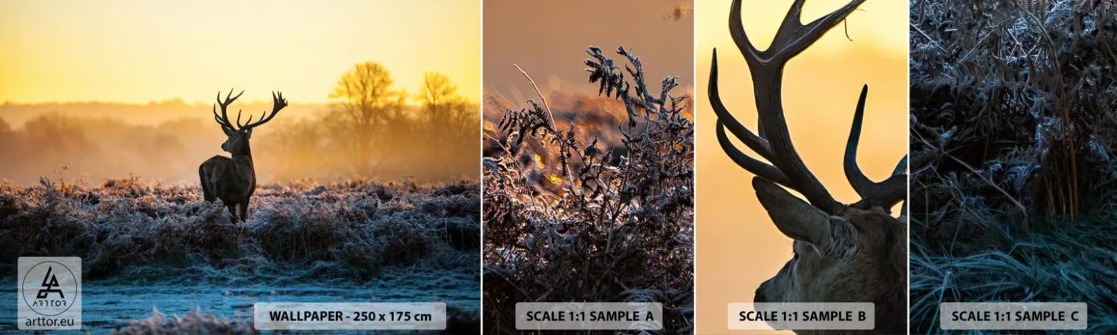 Fototapeta Vzorek Standard Eco - Korunován na svém panství - Krajina, Zvířata, Jelen - 100x30 cm