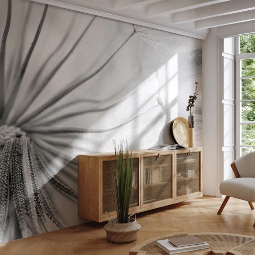 Fototapeta Premium Sand - Pampelišky - Minimalismus, Jemné, Květ - 100x70 cm