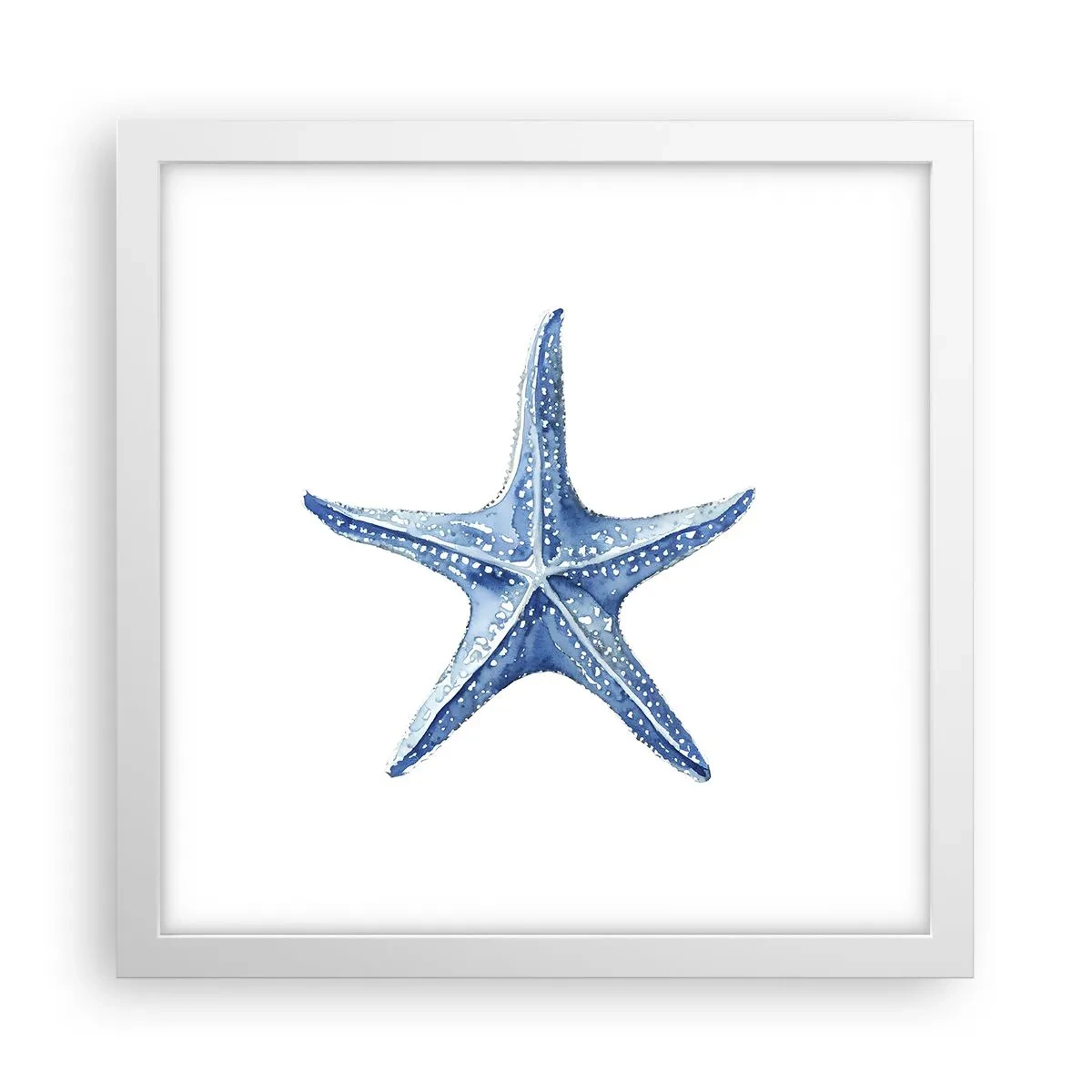 Plakát v bílém rámu - Hvězda moře - 30x30 cm