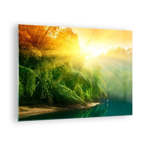 Obraz na skle - Sluneční paprsky nad zelenou vegetací u řeky - 70x50cm - Utopit se ve sluncí a ve stínu - Moderní nástěnná dekorace do obývacího pokoje a ložnice ARTTOR