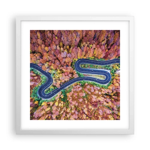 Plakát v bílém rámu - Klikatá cesta lesem - 40x40 cm
