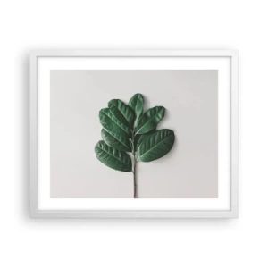 Plakát v bílém rámu - Kresba samotné přírody - 50x40 cm