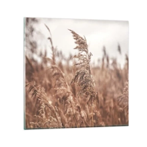 Obraz na skle - Na polích už je podzim - 30x30 cm