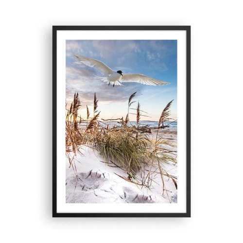 Plakát v černém rámu - Pták v letu nad dunami a mořem při západu slunce - 50x70cm - Vítr od moře - Moderní nástěnná dekorace do obývacího pokoje a ložnice ARTTOR