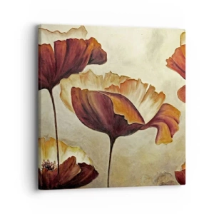 Obraz na plátně - Lán louky - 40x40 cm