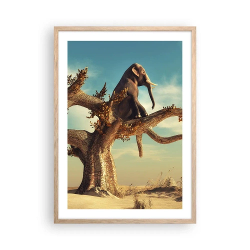 Plakát v rámu světlý dub - Nový úhel pohledu - 50x70 cm