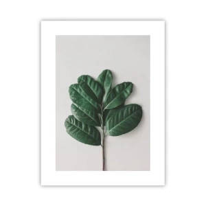 Plakát - Kresba samotné přírody - 30x40 cm