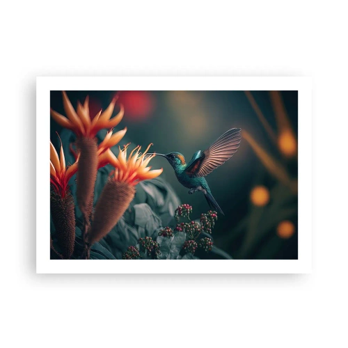 Plakát - Skutečně pestrý život - 70x50 cm