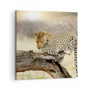 Obraz na plátně - Chodím vlastními cestami - 50x50 cm