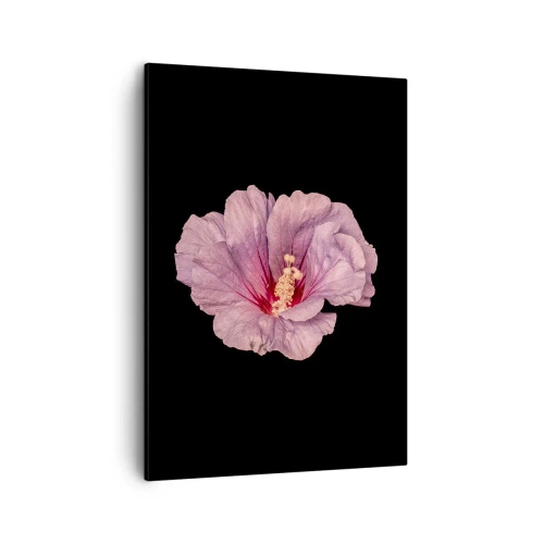 Obraz na plátně - Přímo do srdce - 50x70 cm