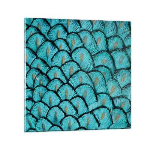 Obraz na skle - Velká slavnost peří - 60x60 cm