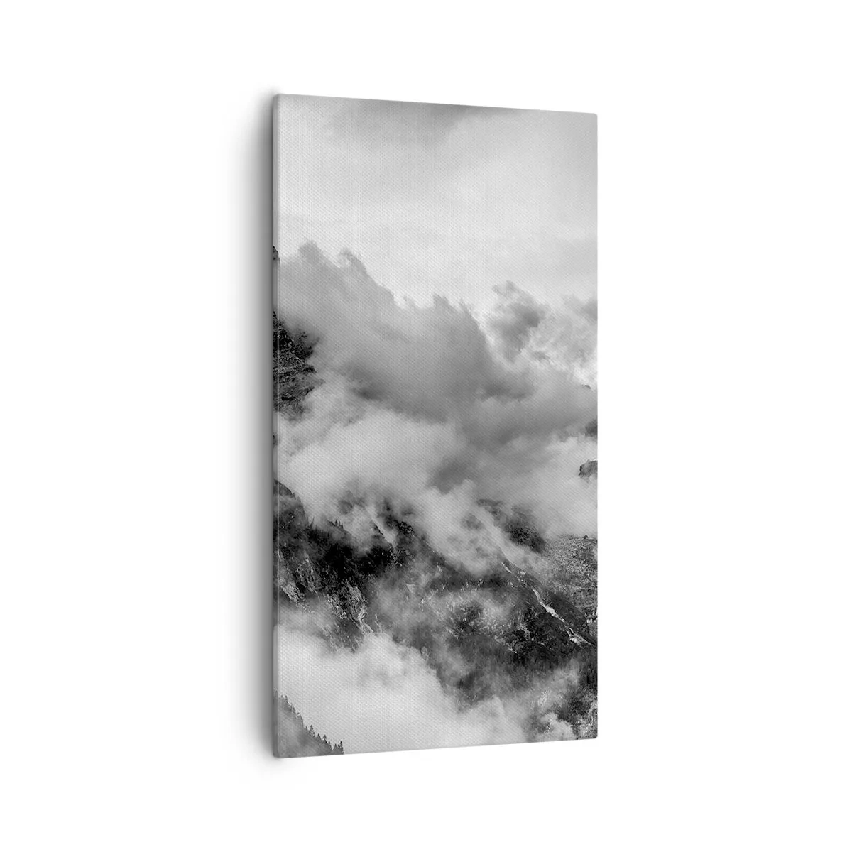 Obraz na plátně - Krásné a kruté - 55x100 cm