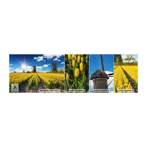 Vzor Fototapety Samolepicí Deluxe Sticker - Více nizozemský nemůže být - Krajina, Fanoušek, tulipány - 100x30 cm