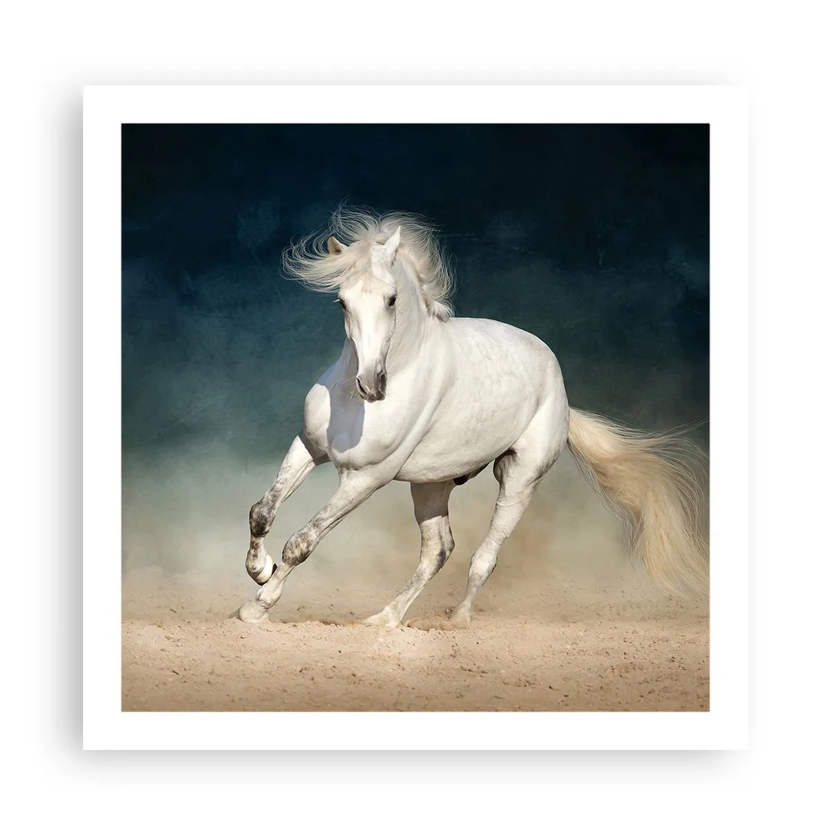 Plakát - Svoboda v čistém stavu - 60x60 cm