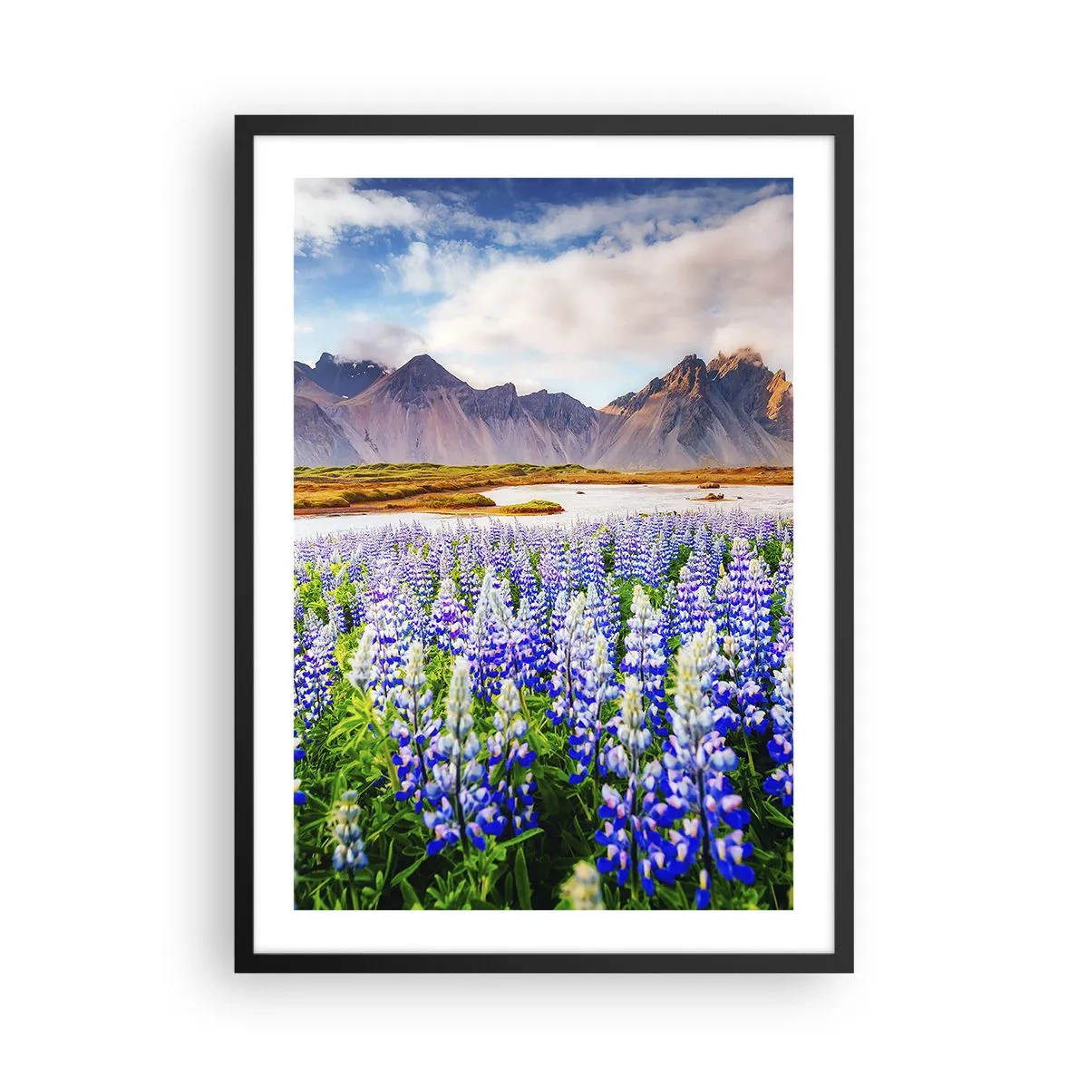 Plakát v černém rámu - Pole vlčího bobu s horami v pozadí - 50x70cm - Síla a přísnost vedle mírnosti - Moderní nástěnná dekorace do obývacího pokoje a ložnice ARTTOR