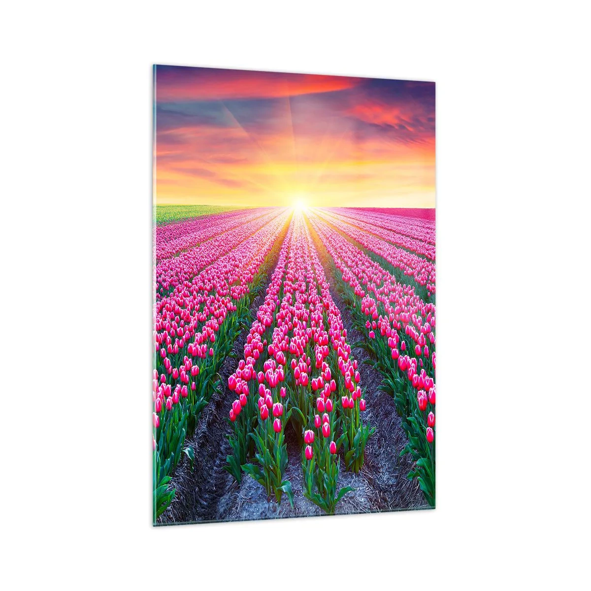 Obraz na skle - Farma krásy - 70x100 cm