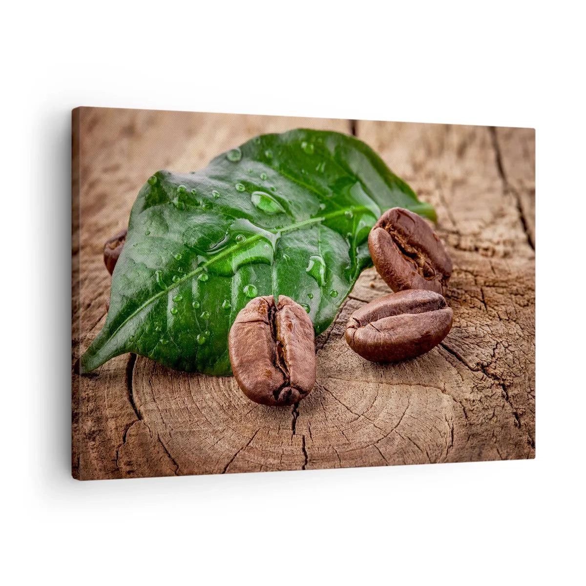 Obraz na plátně - Kávová zrna a zelený list na dřevěném pozadí - 70x50cm - Nejskutečnější a černá - Moderní nástěnná dekorace do obývacího pokoje a ložnice ARTTOR