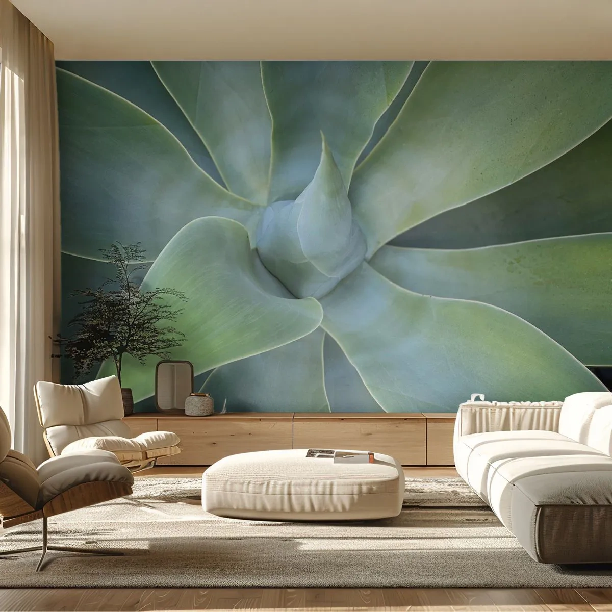 Fototapeta Premium Sand - Zrození zeleně - Sukulentní, Agáve, Botanika - 200x140 cm