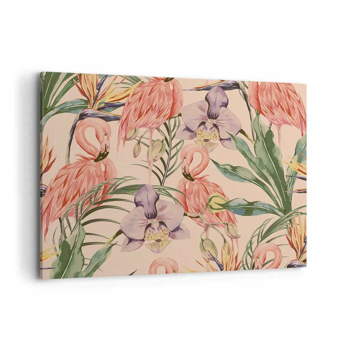 Obraz na plátně - Růžový balet v květech - 100x70 cm