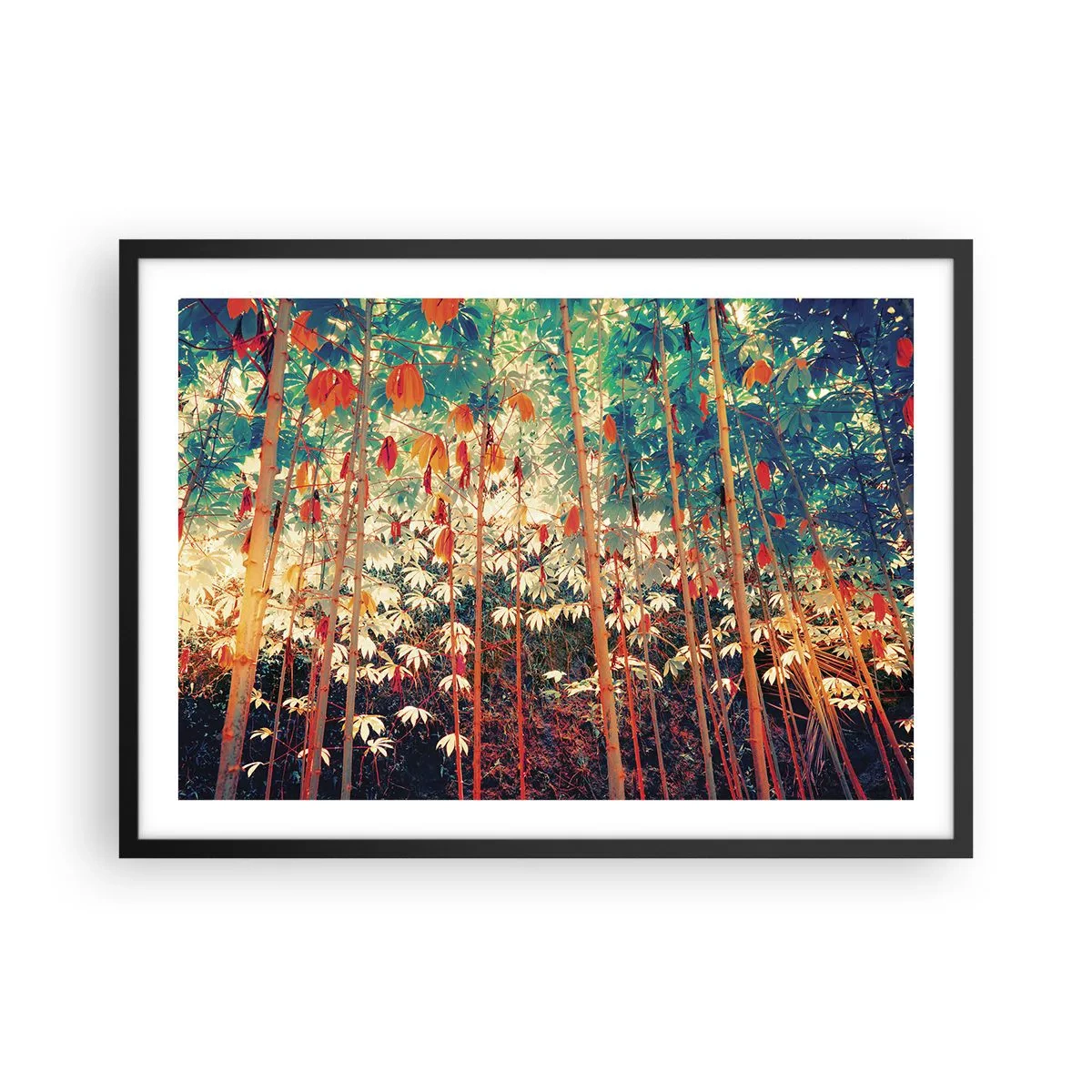 Plakát v černém rámu - Tajný život listů - 70x50 cm
