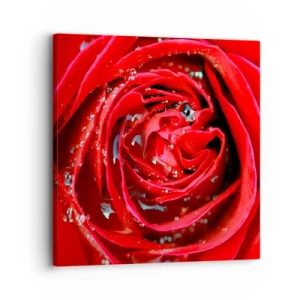 Obraz na plátně - V kapkách rosy - 30x30 cm